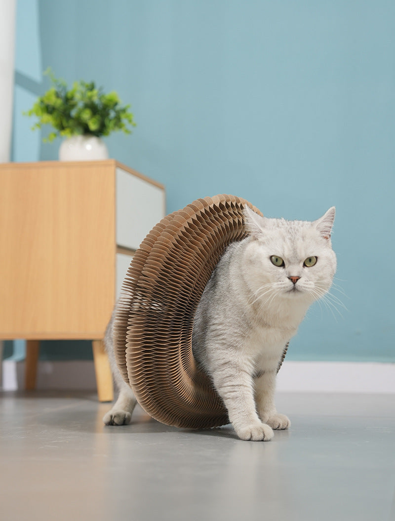 TwistCat™ - Un vortice di gioco e benessere per il tuo micio
