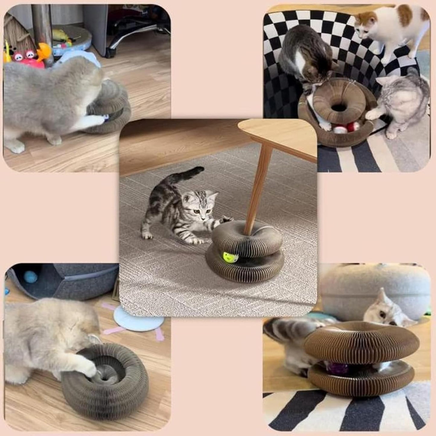 TwistCat™ - Un vortice di gioco e benessere per il tuo micio