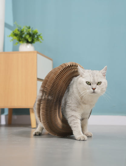 TwistCat™ - Un vortice di gioco e benessere per il tuo micio